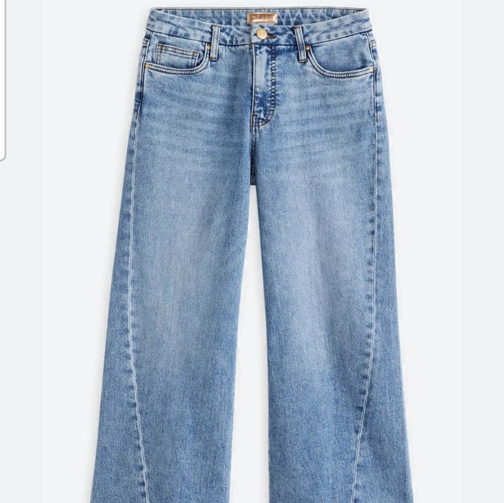 Meg High Rise Fab Ab Raw Hem Wide Leg Jean